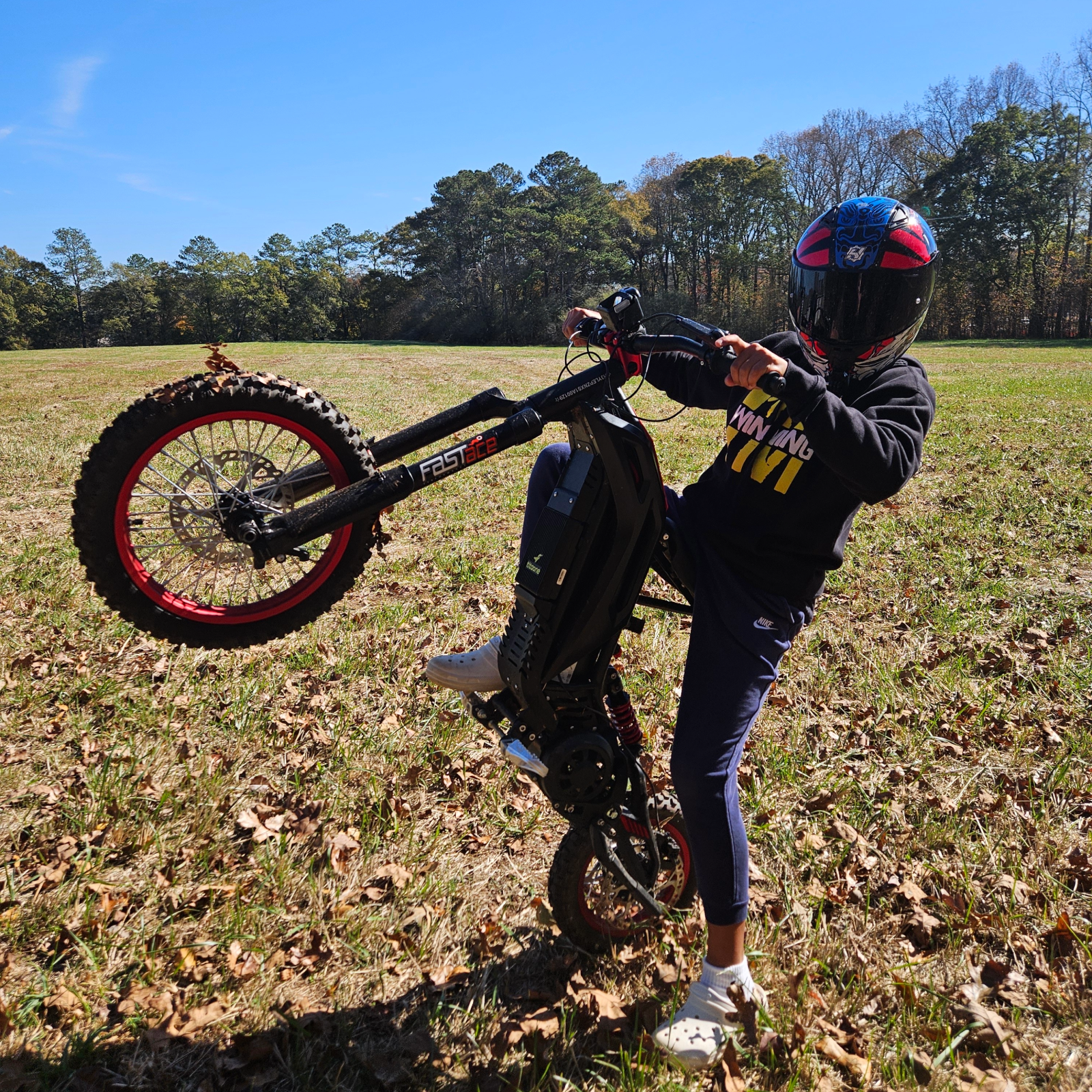 79 Bike Viper S(TITAONE)