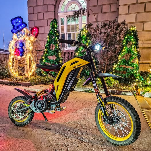 79 Bike Viper S(TITAONE)