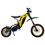 79 Bike Viper S(TITAONE)